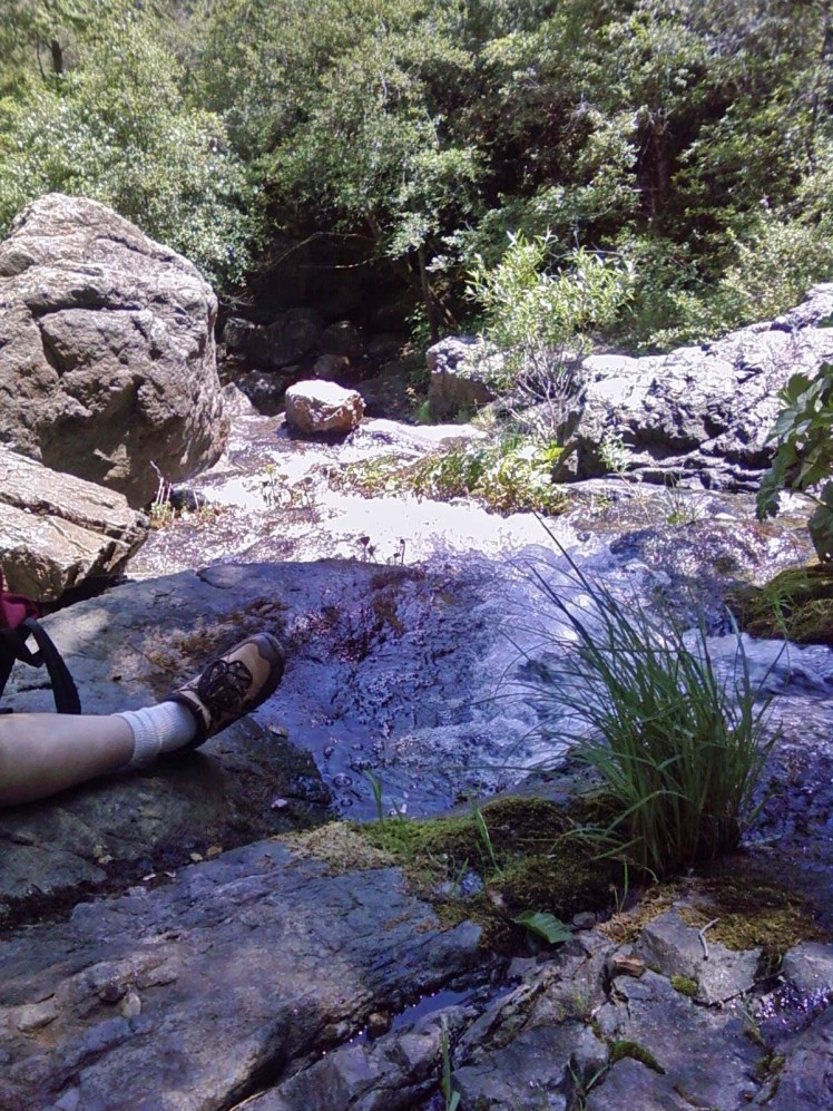 Looking Down the Falls