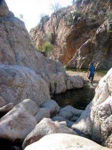 A young person wearing tennis shoes, a hat, shorts and teeshirt wades through a quiet desert canyon stream surrounded by large boulders bleached white from the sun and rock walls, Arizona desert