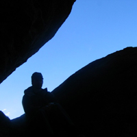 silhouette photo of chiracahua against blue sky
